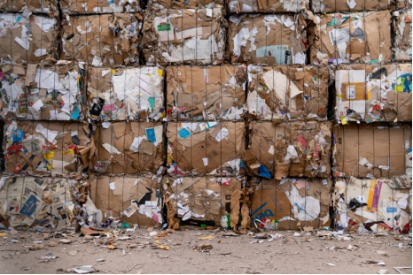 貓先生互聯(lián)網(wǎng)廢品回收加盟，智能收廢品，回收加盟廠家